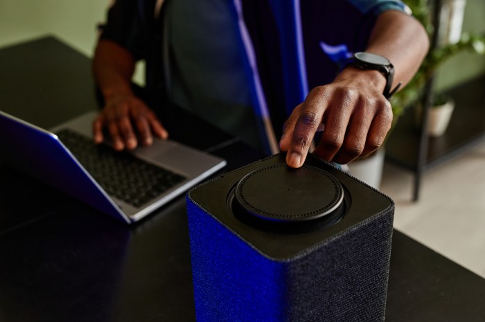 The Smart Speaker Audience in 2022 - AdTonos